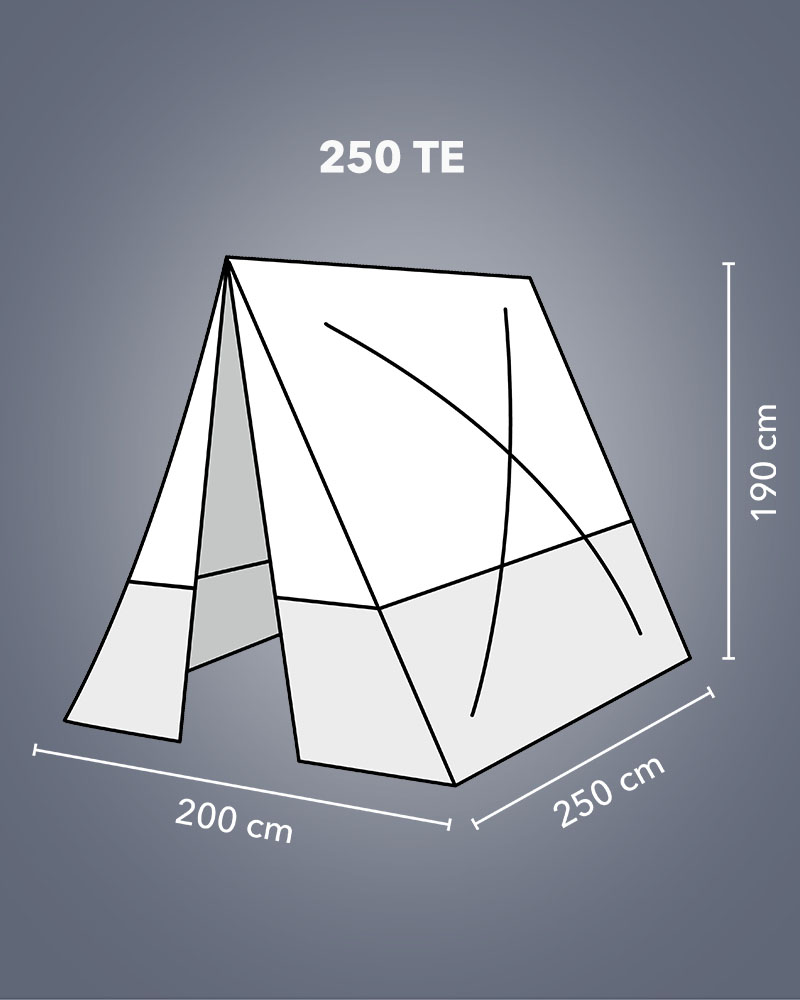 250 TE – Dimensiones