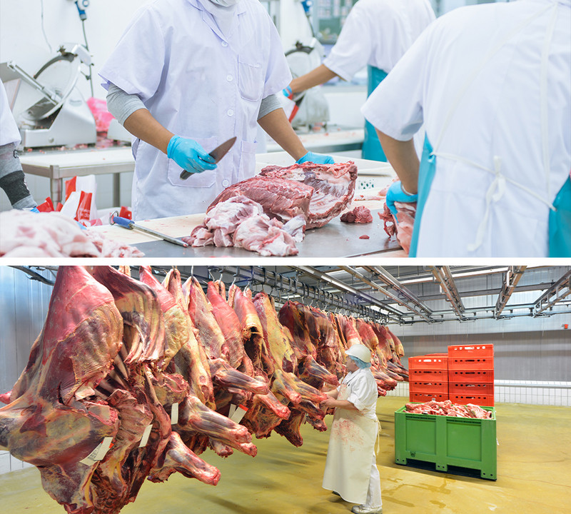 Deshumidificación en la industria de carne - TROTEC