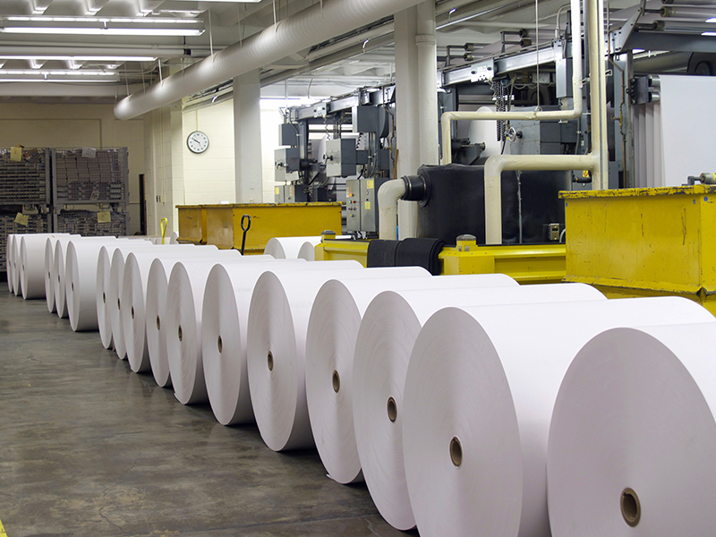 Escupir Endulzar Aeródromo Industria de celulosa, papelera y de impresión - TROTEC